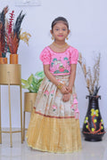 pichwai print on bangalori silk