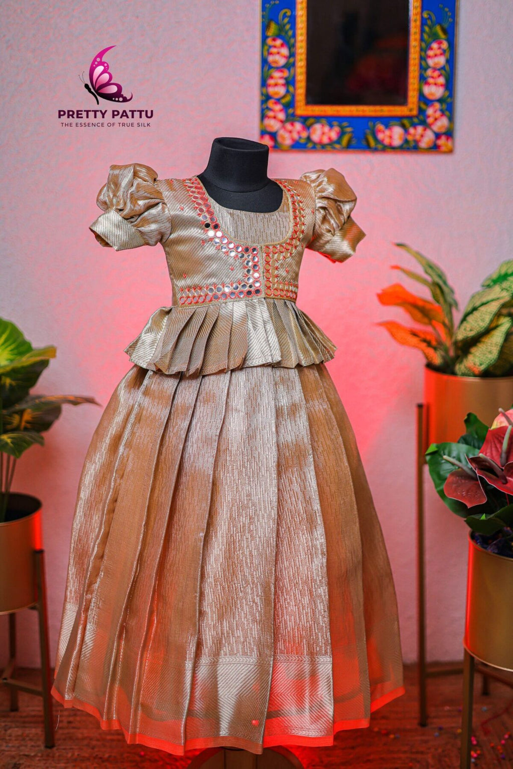 Tissue  Banarasi silk frock