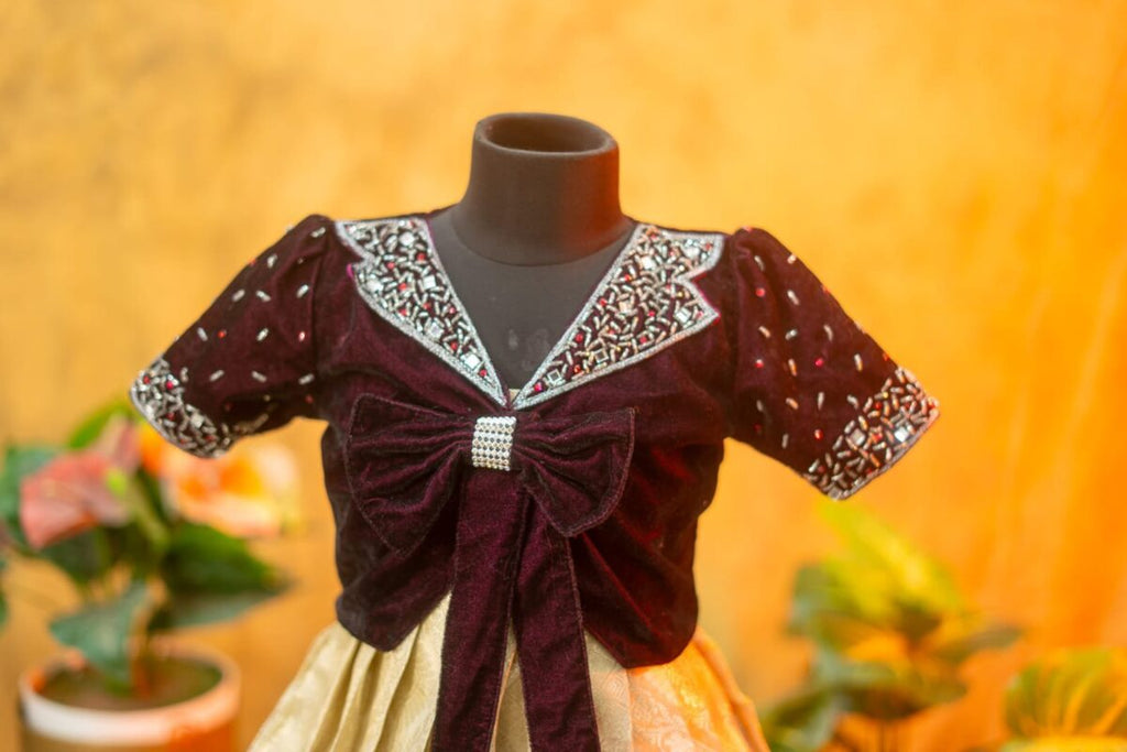 Tissue Banarasi Frock with Velvet Aari Work Top