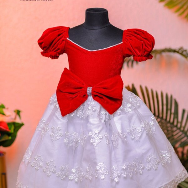 Embroidery designs net frock .