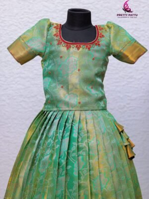 Kanchipuram silk and Banarasi tissue