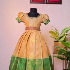 Banarasi tissue silk frock.