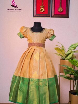 Banarasi tissue silk frock.