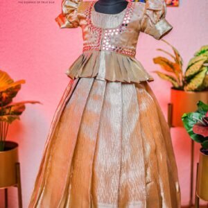 Tissue  Banarasi silk frock