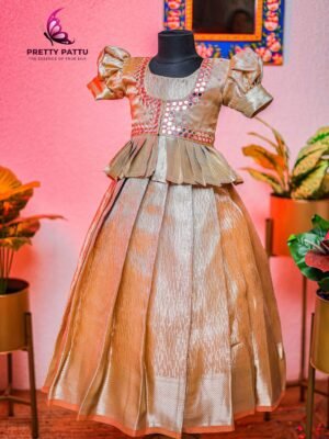 Tissue  Banarasi silk frock