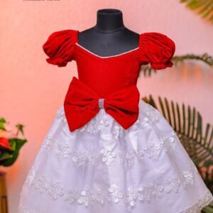 Embroidery designs net frock .