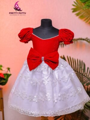 Embroidery designs net frock .