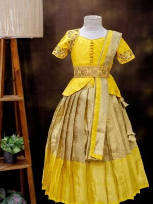 Gold Tissue Banarasi Elegance