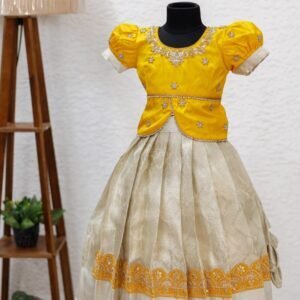 Semi banarasi with full zardosi work