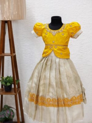 Semi banarasi with full zardosi work