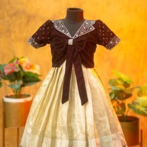 Tissue Banarasi Frock with Velvet Aari Work Top