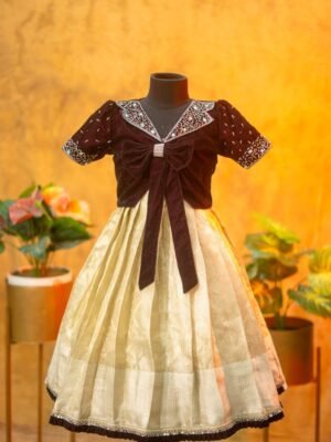 Tissue Banarasi Frock with Velvet Aari Work Top