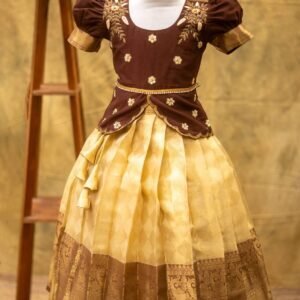 Premium Tissue Banarasi lehanga