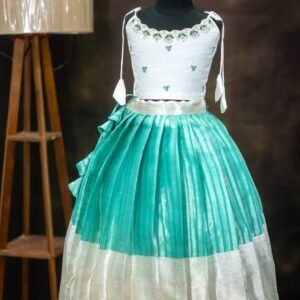 Tissue Banarasi Lehenga with Raw Silk Aari Work Top