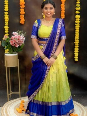 Gadwal soft silk lehenga set