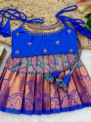 Kanchipattu Lehenga with Aari Work Blouse