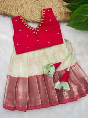 Rangat Pattu Pavadai With Aari Work Top