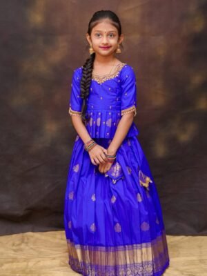 Kanchipattu Soft Silk Lehenga with Aari Work Top